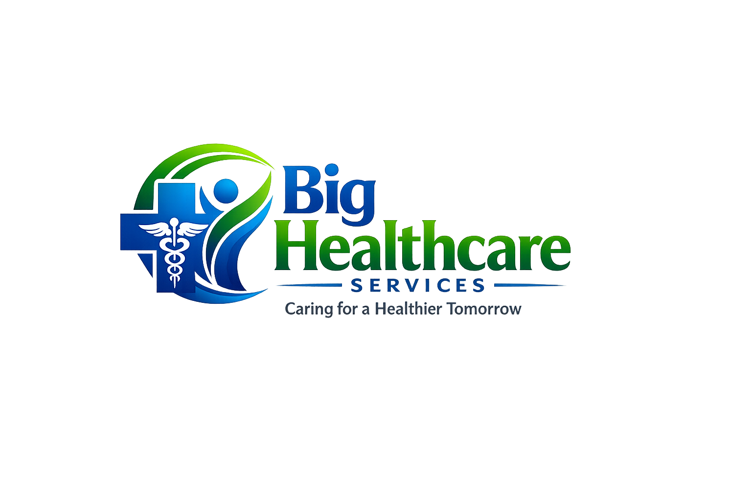 BIG Healthcare Services